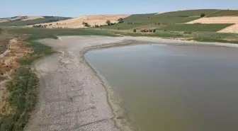 Muratlı'da Kuraklık Nedeniyle Balık Ölümleri Yaşandı