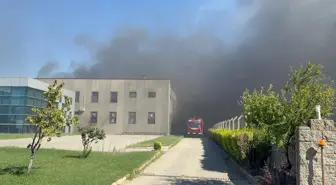 Çorlu'da Tarım Arazisinden Fabrikaya Sıçrayan Yangın Kontrol Altına Alınıyor
