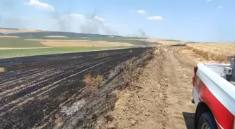 Tekirdağ'da 70 Dönüm Buğday Tarlası Yangında Zarar Gördü