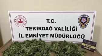 Tekirdağ'da Uyuşturucu Operasyonu: 2 Tutuklama