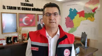 Tekirdağ'da Zirai Don nedeniyle 771 Çiftçiye 46 Milyon Lira Destek