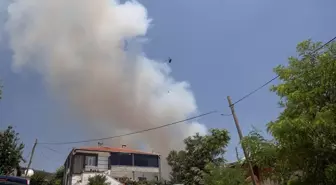 Tekirdağ'daki Orman Yangınına Hızlı Müdahale Devam Ediyor