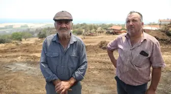 Şarköy'deki Orman Yangını Besicileri Zora Soktu