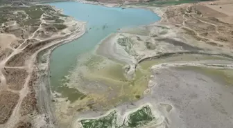 Tekirdağ'da Türkmenli Göleti'nde Su Seviyesi Kritik Düzeye Düştü