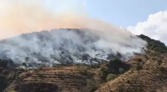 Tekirdağ'da Orman Yangınına Havadan ve Karadan Müdahale