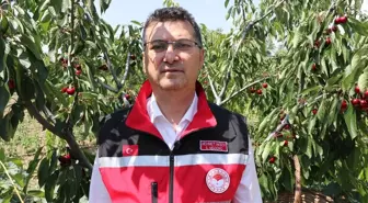 Tekirdağ Kirazında Beklenen Rekolte 3 Bin Ton