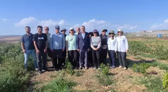Rektör Şahin, Ziraat Fakültesi Çiftliğinde İncelemelerde Bulundu