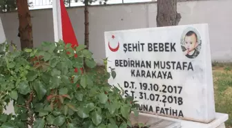 Teröristlerin katlettiği şehit Bedirhan bebek ve annesi Sivas'ta anıldı