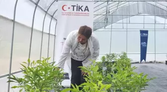 TİKA, Azerbaycan'da Modern Sera Kurdu