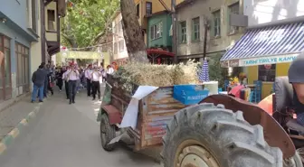 Mudanya'da İlk Kez 'Tirilye Zeytin Çiçeği Festivali' Başladı