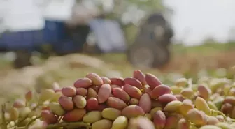 Tiryaki Agro, Gaziantep'te Yeni Yatırım ile Büyüyor