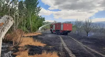 Tokat'ta Anız Yangını: 50 Dönüm Alan Zarar Gördü
