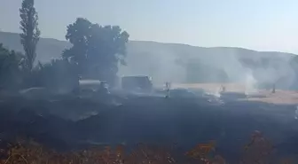 Tokat'ta Anız Yangını: 5 Dönüm Alan Zarar Gördü