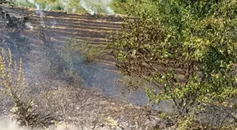 Tokat'ta Anız Yangını: 6 Dönüm Arazi Zarar Gördü