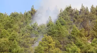 Tokat'ta Orman Yangını Kontrol Altına Alındı