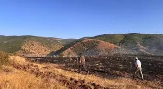 Tokat'ta Orman Yangını Kontrol Altına Alındı