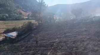 Tokat'ta Arazi Yangını: 10 Dönüm Zarar Gördü