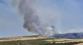 Tokat'ta Yangın: 250 Dekar Ekim Alanı Zarar Gördü