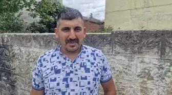 Erbaa'da Kereste Fabrikasında İki Tilki Görüntülendi