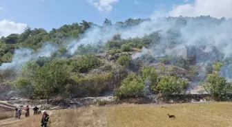 Tokat Niksar'da Orman Yangını Kontrol Altına Alındı
