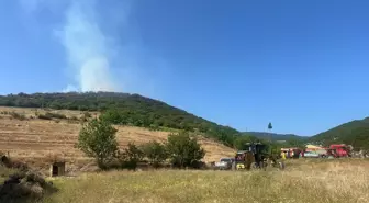 Tokat Niksar'da Orman Yangını Çıktı
