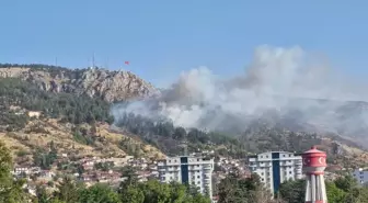 Tokat'ta Orman Yangını