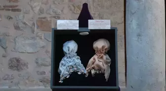 Tokat'ta 'Taşa İnat İnce Sanat ve Söz Uçar Oya Kalır' Sergisi Açıldı
