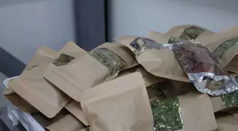 TOGÜ Çiftlik Tarım Ürünleri Kurutma Tesisi Açıldı