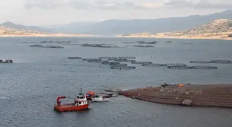 Tokat'ın Almus İlçesinden 29 Ülkeye Balık İhracatı