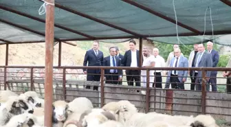 Tokat Valisi Abdullah Köklü, TOGÜ'yü Ziyaret Etti