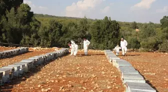 Mersin'deki Çiçek Balı, Uluslararası Yarışmalarda 3 Ödül Kazandı