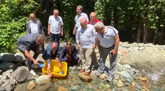 Küçükdere Vadisi'ne 10 Bin Kırmızı Benekli Alabalık Salındı