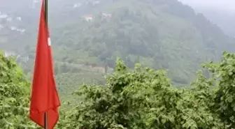 Trabzon'da 15 Temmuz şehidi mezarı başında anıldı