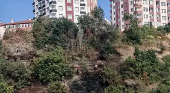 Trabzon'da Ağaçlık Alanda Yangın Söndürüldü