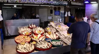 Trabzon'da Av Yasağı Sona Erdi, Balıklar Tezgahlarda