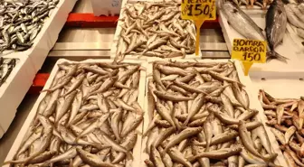 Trabzon'da Balık Fiyatları ve Sezon Hareketliliği