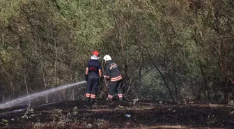 Trabzon'da Ç çıkan örtü yangını kontrol altına alındı