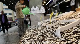 Trabzon'da Hamsi Fiyatları 100 Lira ile Başladı