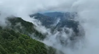 Hıdırnebi Yaylası: Doğa ve Fotoğraf Tutkunlarının Favorisi