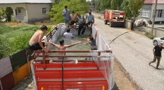 Çiftçiden Yaratıcı Çözüm: Traktör Römorkuyla Havuz Yapıldı