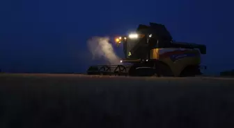 Trakya'da Buğday Hasadı Gece Yapılıyor