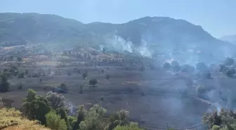 Hozat'ta Orman Yangını Kontrol Altına Alındı