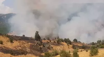 Tunceli'de Orman Yangınına Müdahale Ediliyor