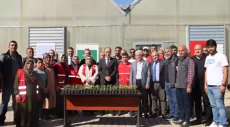 Türk Kızılay, Diyarbakır'da 10 Bin Sebze Fidesini Ücretsiz Dağıttı
