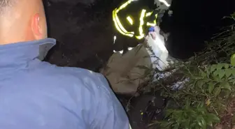Dereye Düşen İnek İtfaiye Ekiplerince Kurtarıldı