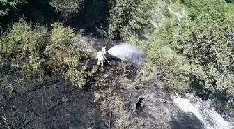 Sinop'un Türkeli ilçesinde makilik alanda yangın söndürüldü