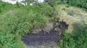 Sinop'ta Otluk Alanda Yangın Kontrol Altına Alındı