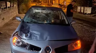 Otomobilin Çarptığı İnek Telef Oldu