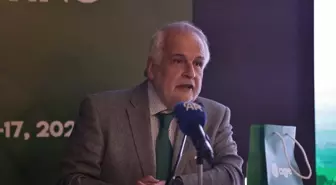 CIGRE Başkanı: Türkiye Elektrik İletiminde Önemli Bir Rol Oynuyor