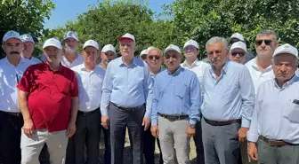 TZOB Genel Başkanı Bayraktar, Adana ve Mersin'de Tarım Alanlarını İnceledi